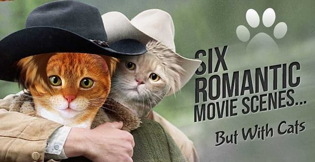 6 escenas de películas románticas pero con gatos