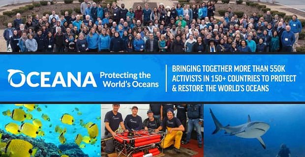 Oceana – Riunendo più di 550K attivisti in oltre 150 paesi per proteggere e ripristinare gli oceani del mondo