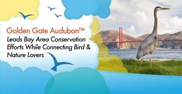 Golden Gate Audubon dirige les efforts de conservation de la région de la baie tout en connectant les amoureux des oiseaux et de la nature