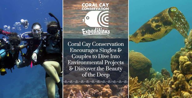 Coral Cay Conservation encourage les célibataires et les couples à plonger dans des projets environnementaux et à découvrir la beauté des profondeurs